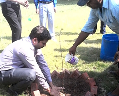 World Environment Day - Siyaram's