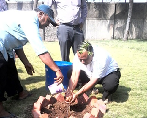 World Environment Day - Siyaram's