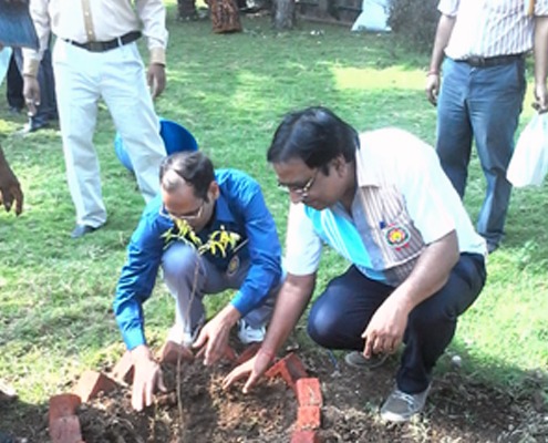 World Environment Day - Siyaram's